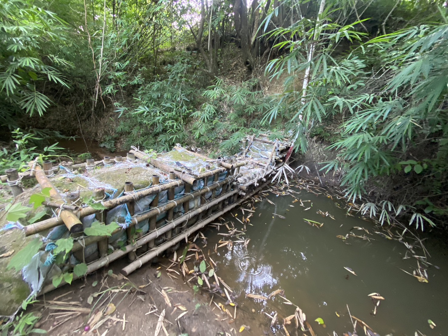 title - ผู้ตรวจราชการ ส.ป.ก. (เขต 15,16 และ 17) ประชุมตรวจติดตามความก้าวหน้าการดำเนินงานตามแผนงานตรวจราชการและลงพื้นที่โครงการที่เกี่ยวข้องในเขตปฏิรูปที่ดิน ประจําปีงบประมาณ 2568 รอบที่ 2 ณ ส.ป.ก.จังหวัดลำปาง